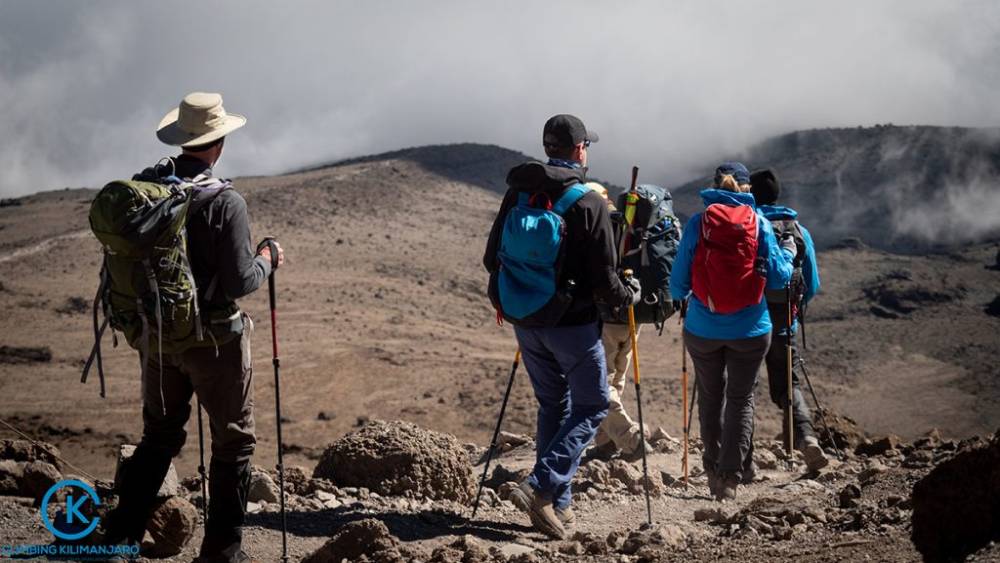 Caminata de 1 día al Monte Kilimanjaro por la ruta Marangu