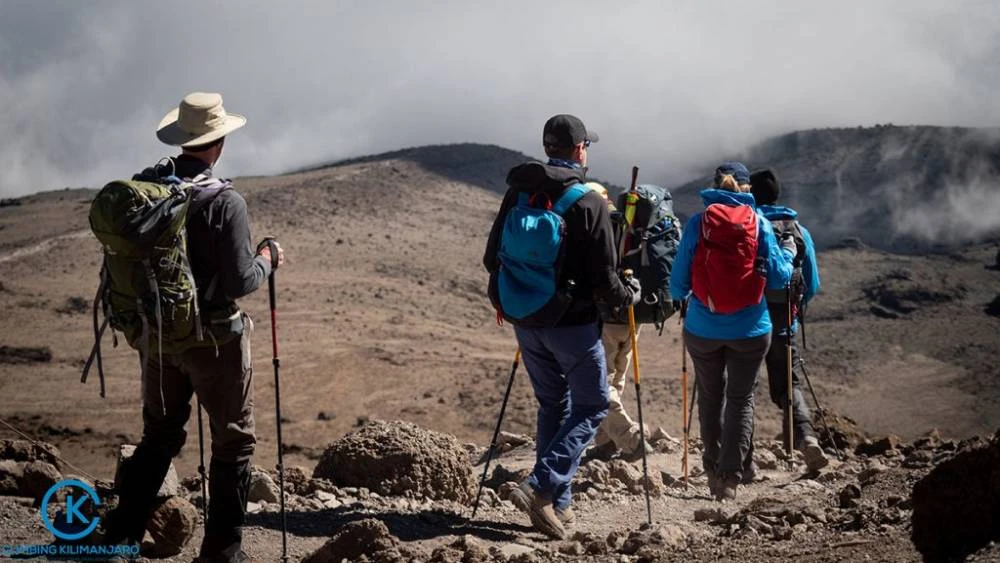 Caminata de 1 día al Monte Kilimanjaro por la ruta Marangu