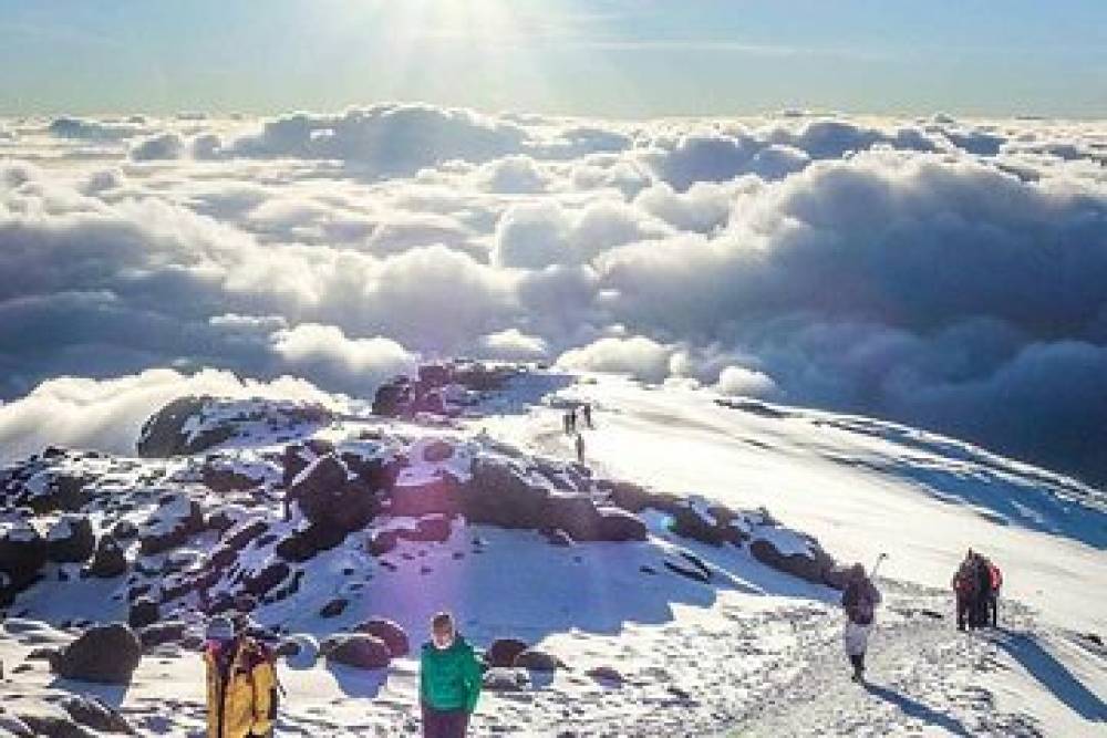 Kilimanjaro 360 de 10 días por el circuito norte