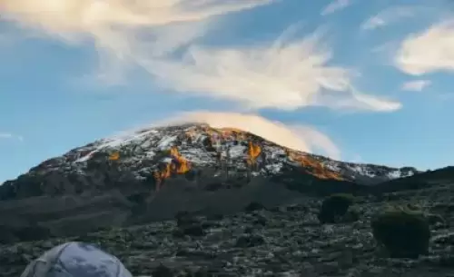 Aventuras de senderismo en el Kilimanjaro