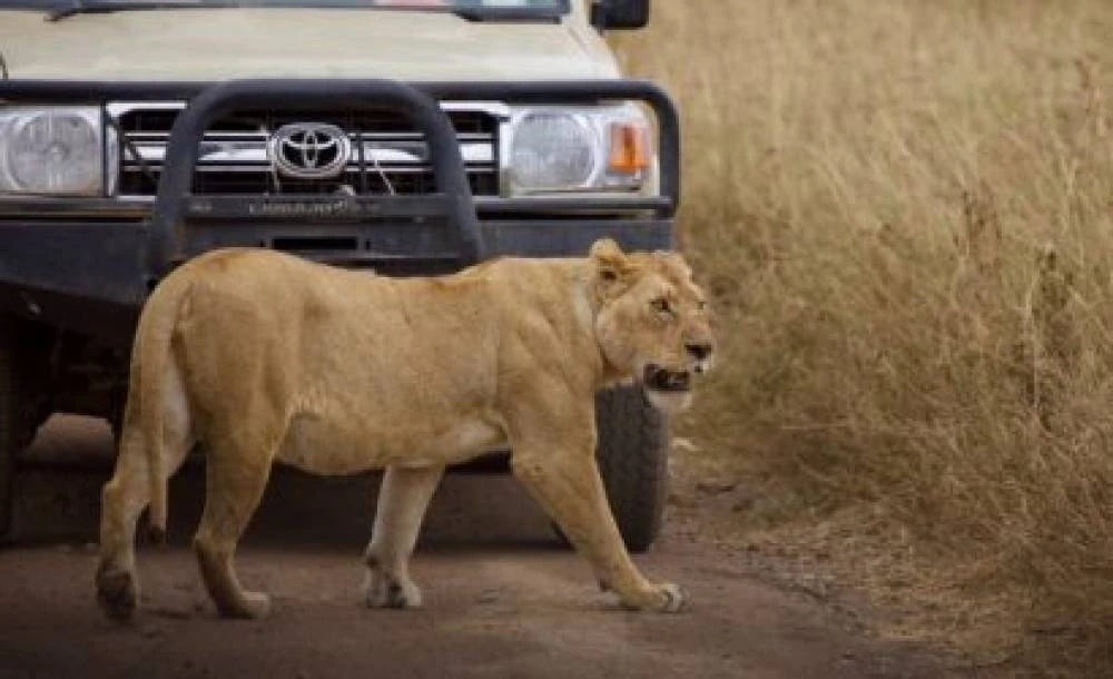 Ruaha de 3 días y 2 noches desde Dar Es Salaam